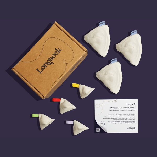 Longsock Everything Scent Training Kit for Dogs