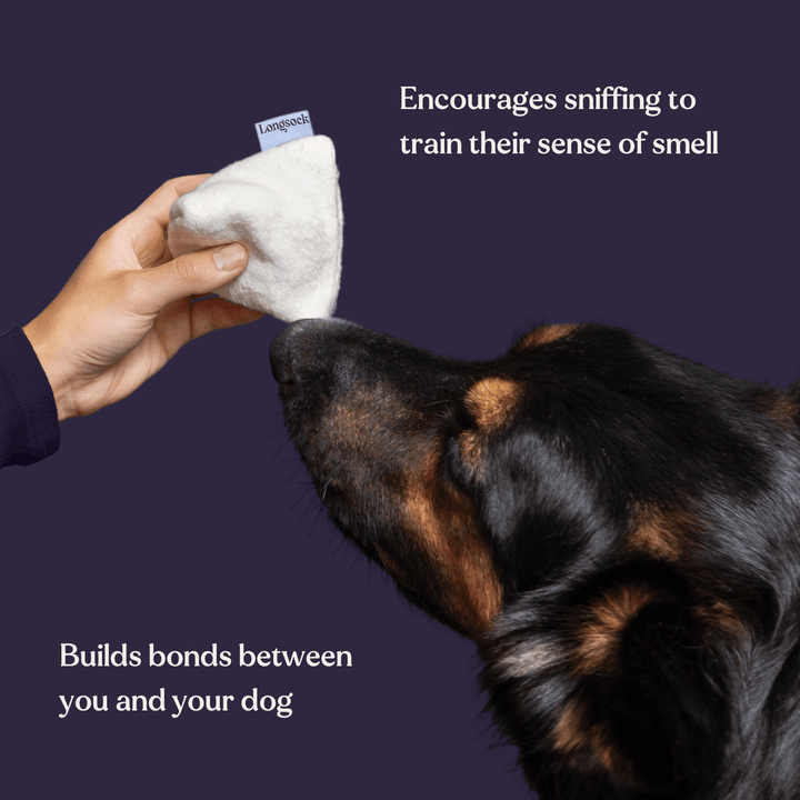 Longsock Starter Scent Training Kit for Dogs