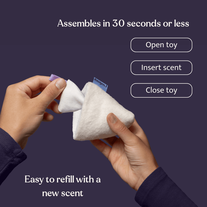 Longsock Starter Scent Training Kit for Dogs