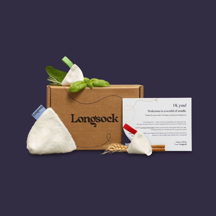 Longsock Starter Scent Training Kit for Dogs