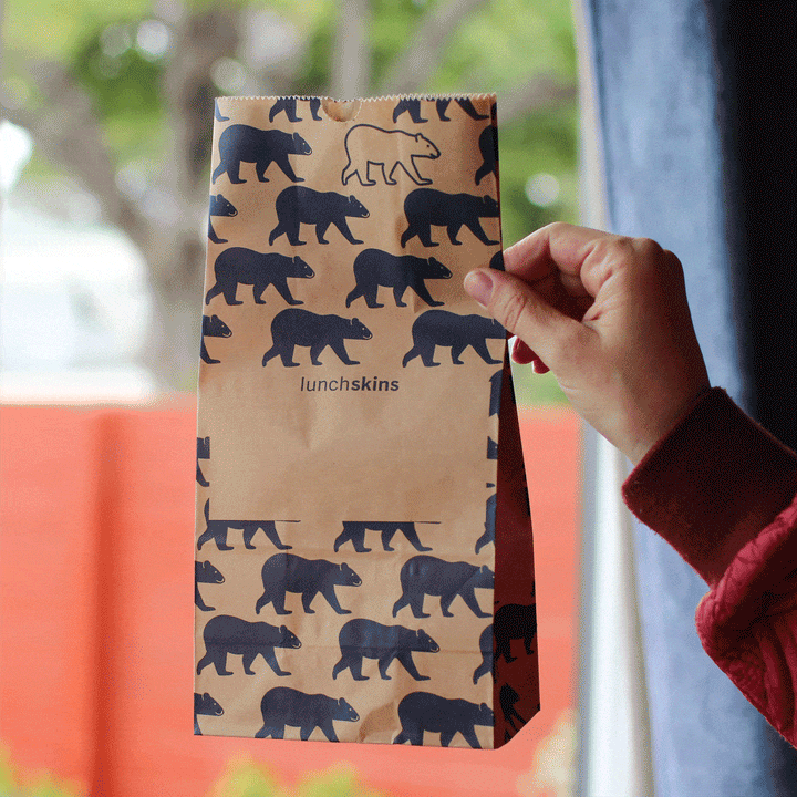 Lunchskins Recyclable Paper Lunch Sacs Variety Pack