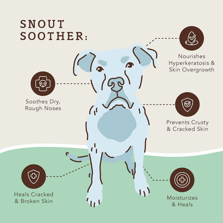 Natural Dog Company Snout Soother Dog Healing Balm