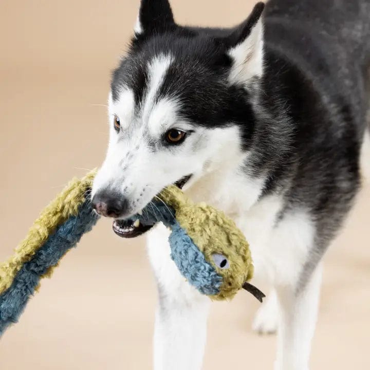 Petshop Recycled Snake Dog Toy