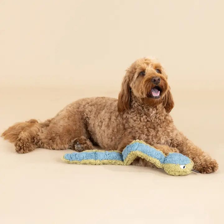 Petshop Recycled Snake Dog Toy