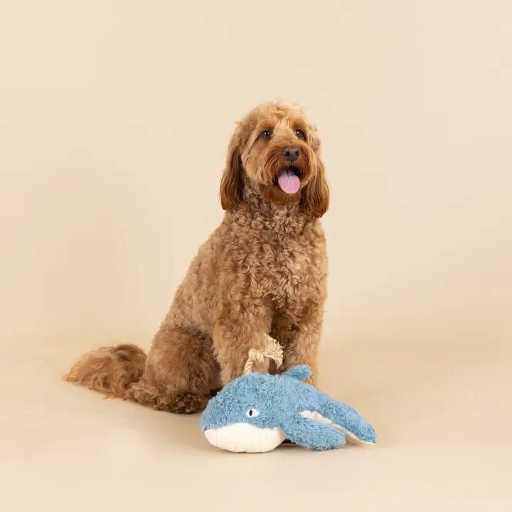 Petshop Whale Dog Toy