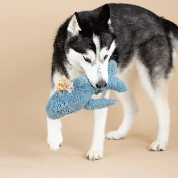 Petshop Whale Dog Toy