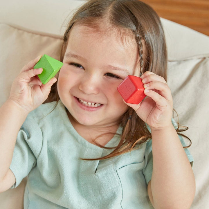 PlanToys USA Shape Sorting Bowl