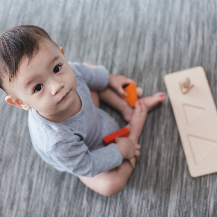 PlanToys USA Triangle Matching Puzzle
