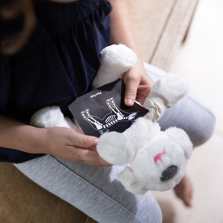 PlanToys USA Vet Set