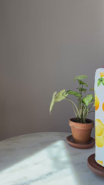 Pulling a Lemons Reusable Paper Towel off a wooden paper towel holder
