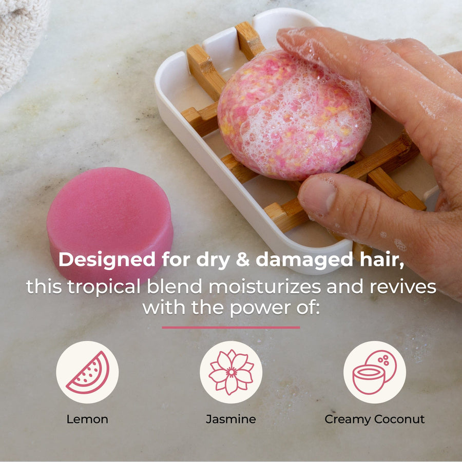 Shampoo & Conditioner Bar Duo - Sunkissed