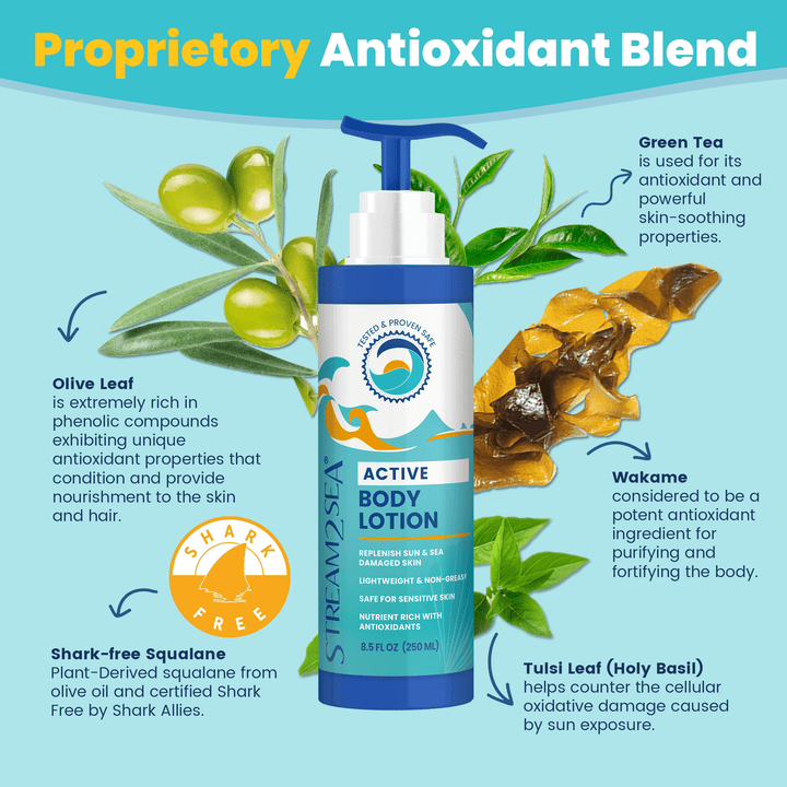 Stream2Sea Nourishing Body Lotion