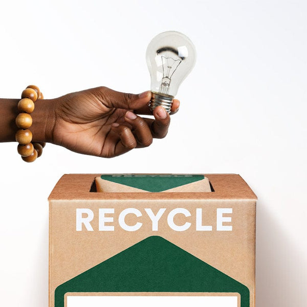 TerraCycle Incandescent Light Bulbs - TerraCycle Zero Waste Box