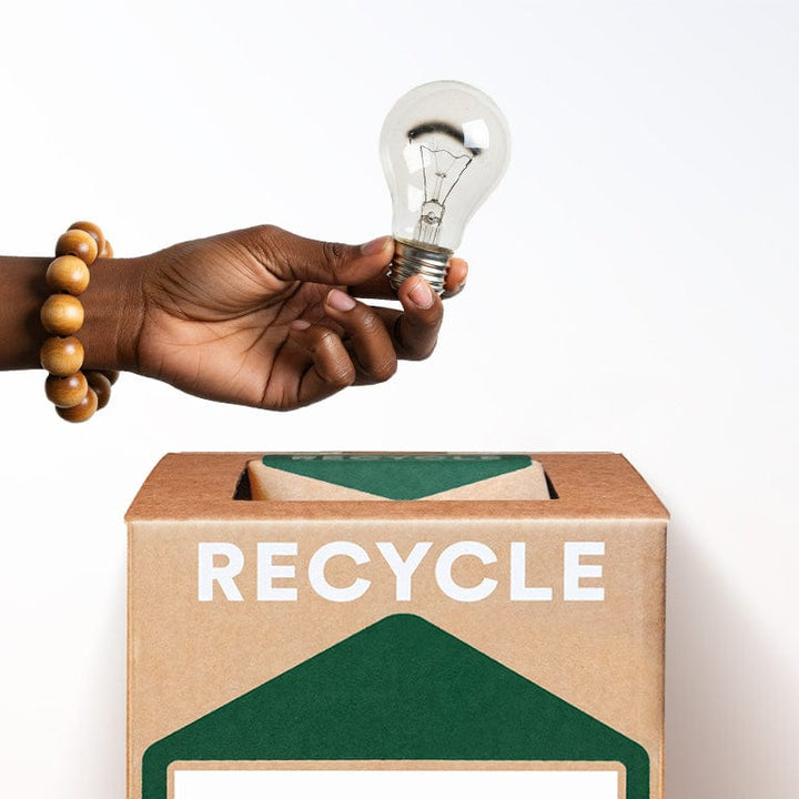 TerraCycle Incandescent Light Bulbs - TerraCycle Zero Waste Box