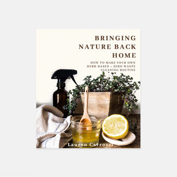 Lauren Carrozzi A Zero Waste Guide to Housecleaning E-Book
