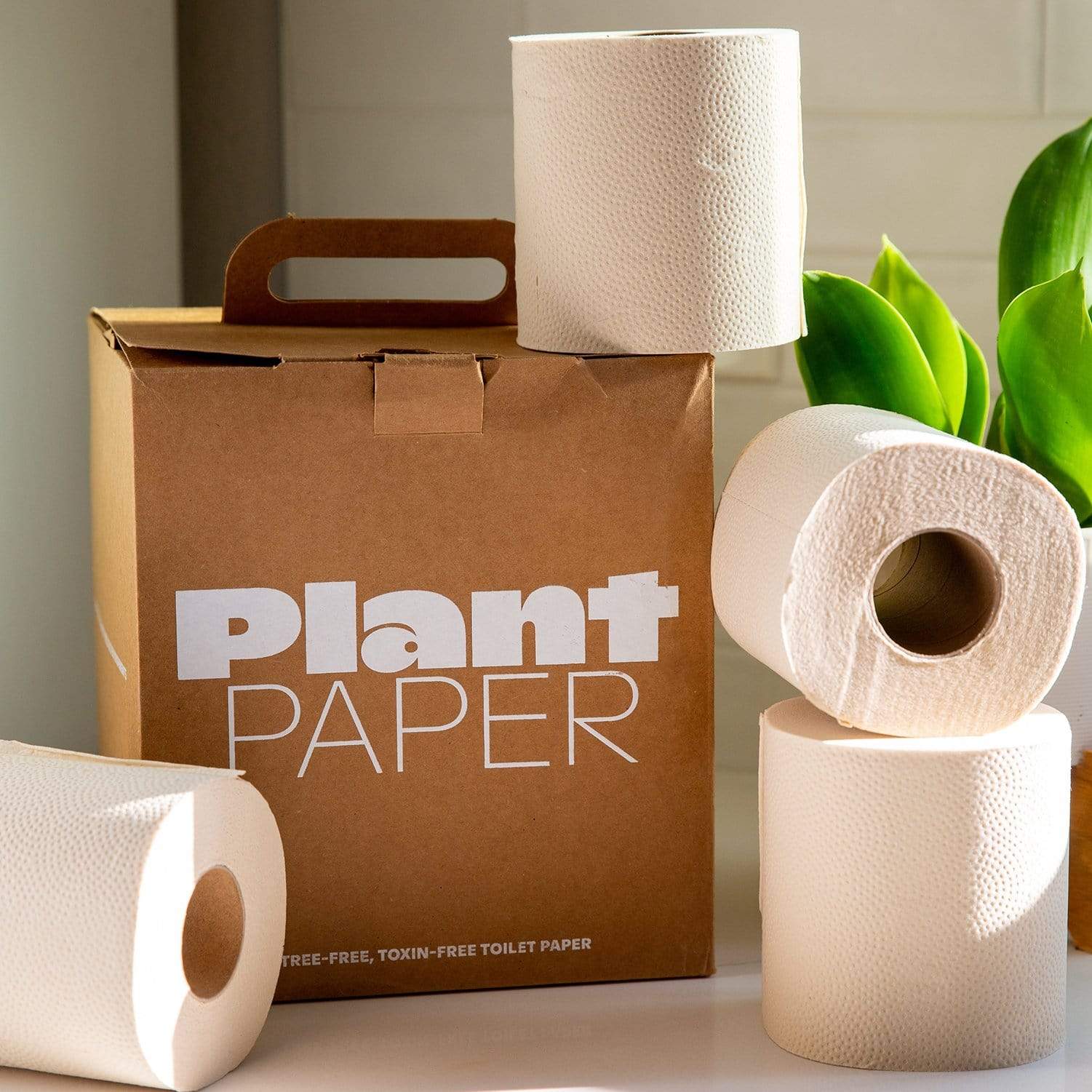 PlantPaper  Tree Free & Septic Safe Bamboo Toilet Paper