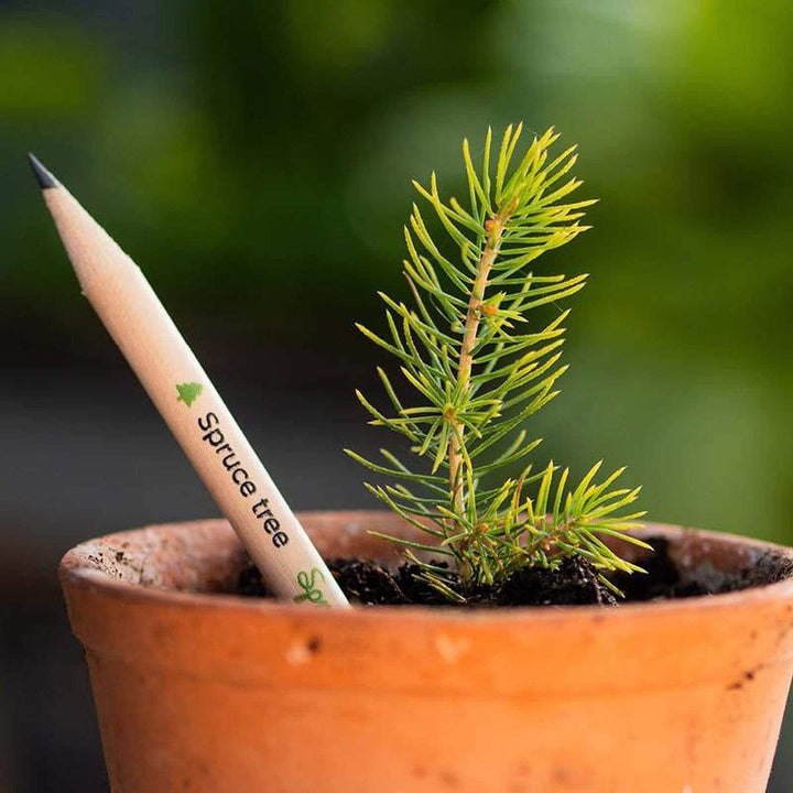 Sprout Plantable Pencil