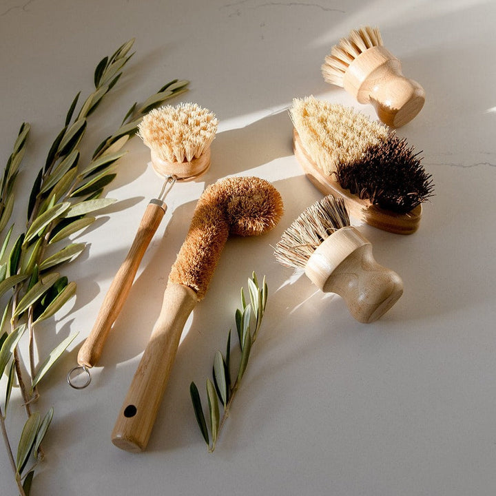 Zero Waste Store Zero Waste Dish Brush Kit