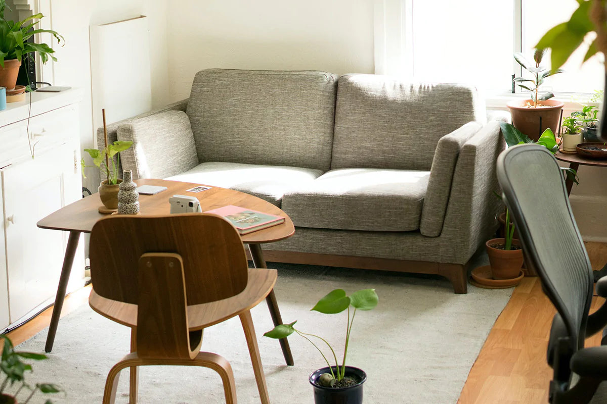 modern minimalist living room with plants