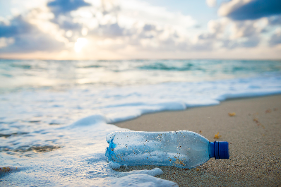 sed plastic water bottle washed up on the shore of a tropical beach, highlighting the worldwide crisis of plastic pollution on even the most remote islands